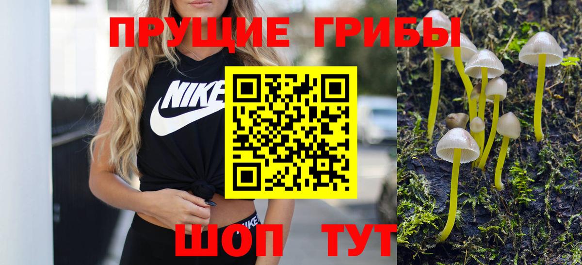 Галлюциногенные грибы Cubensis Бирск