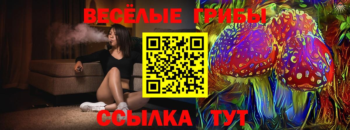 Бирск  Галлюциногенные грибы Psilocybe  Вход с VPN 