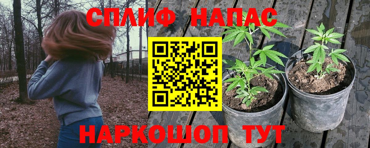 Шишки марихуана THC 21% Бирск